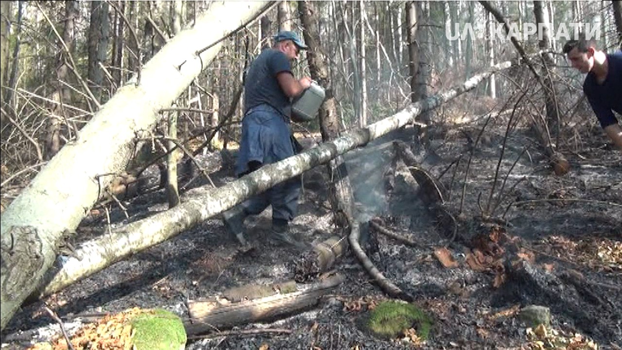 Пожежу у Богородчанському спецагролісгоспі погасили (ОНОВЛЕНО)